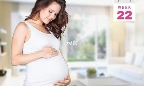 心可舒片价格几钱一盒-【心可舒片山东沃华药科技股份有限公司】心可舒片是什么药 - 心可舒片(山东沃华医药科技)价格网